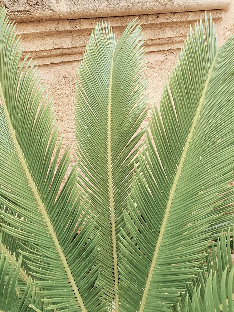 Tropical Green Leaves art print by Ohkimiko for $57.95 CAD
