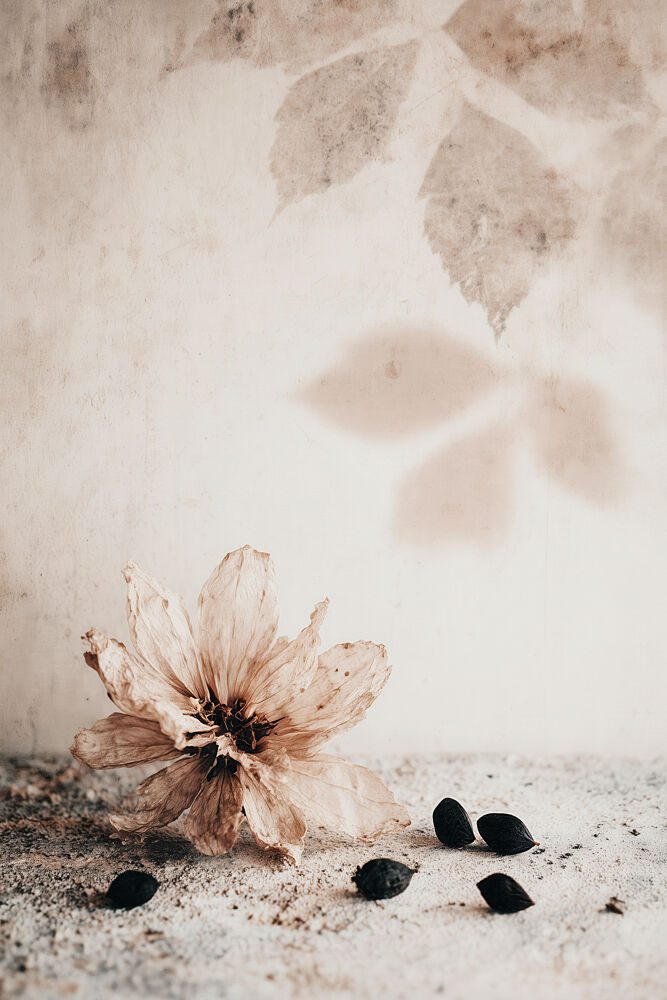 Muted Moments No 12 art print by Treechild for $57.95 CAD