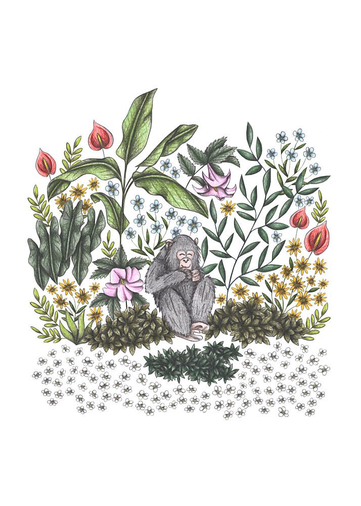 Whimsical Jungle Monkey art print by Cecilia Battaini for $57.95 CAD