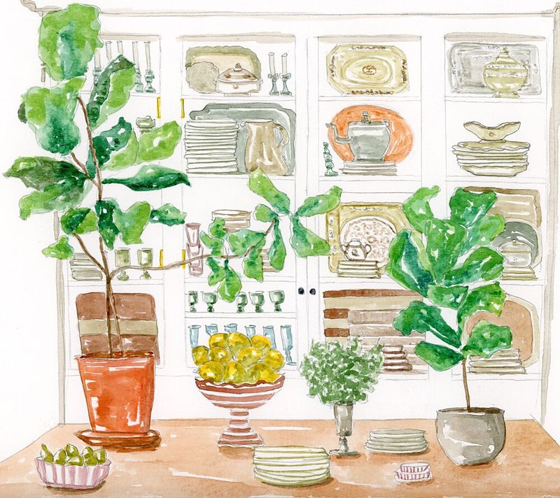 Kitchen Cabinet Plants art print by Breanna Megan Studio for $57.95 CAD