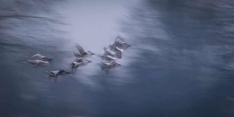 Flight Through Clouds art print by Piet Haaksma for $57.95 CAD