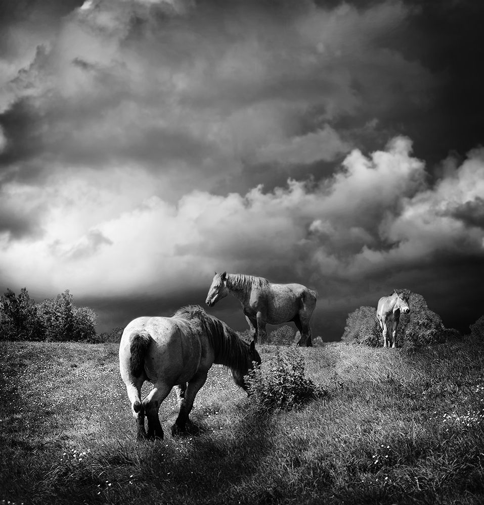 Summertime art print by Piet Flour for $57.95 CAD