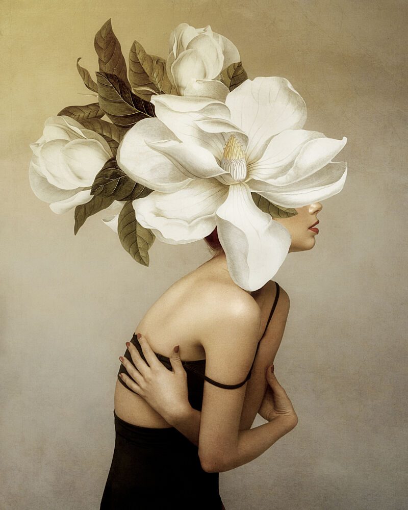 Elegant Magnolia Portrait art print by Marja van den Hurk for $57.95 CAD