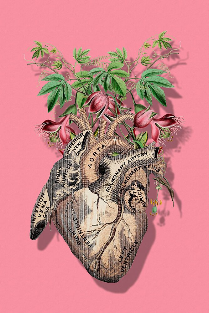 Botanical Human Heart art print by Marja van den Hurk for $57.95 CAD