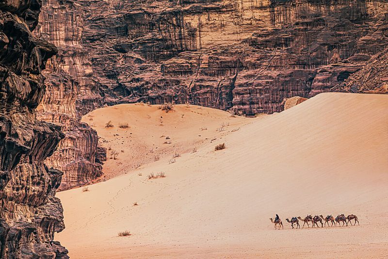 Desert Camel Train art print by Marco Tagliarino for $57.95 CAD