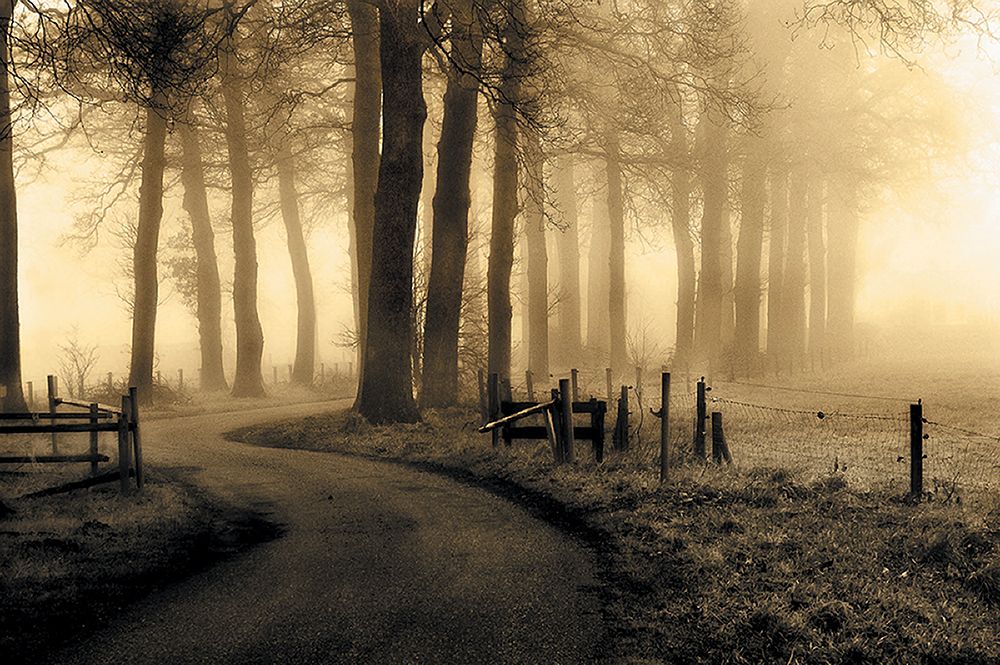road to nowhere... art print by Petra Oldeman for $57.95 CAD