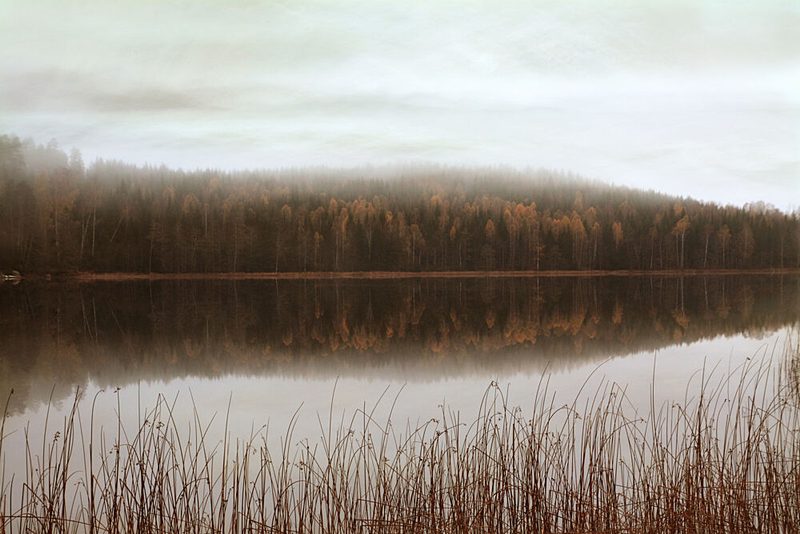 Misty Forest Reflections art print by Christina Sillen for $57.95 CAD