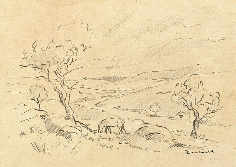 Dartmoor Pony art print by Dan Hobday for $57.95 CAD