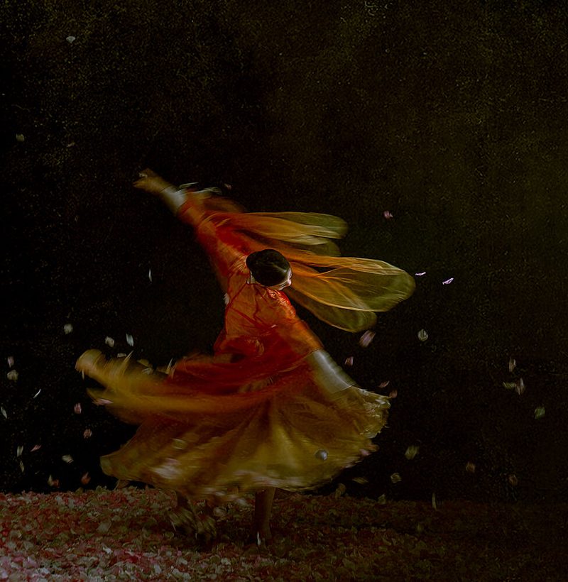 Flowing Dancer Petals art print by Rae Zhang for $57.95 CAD