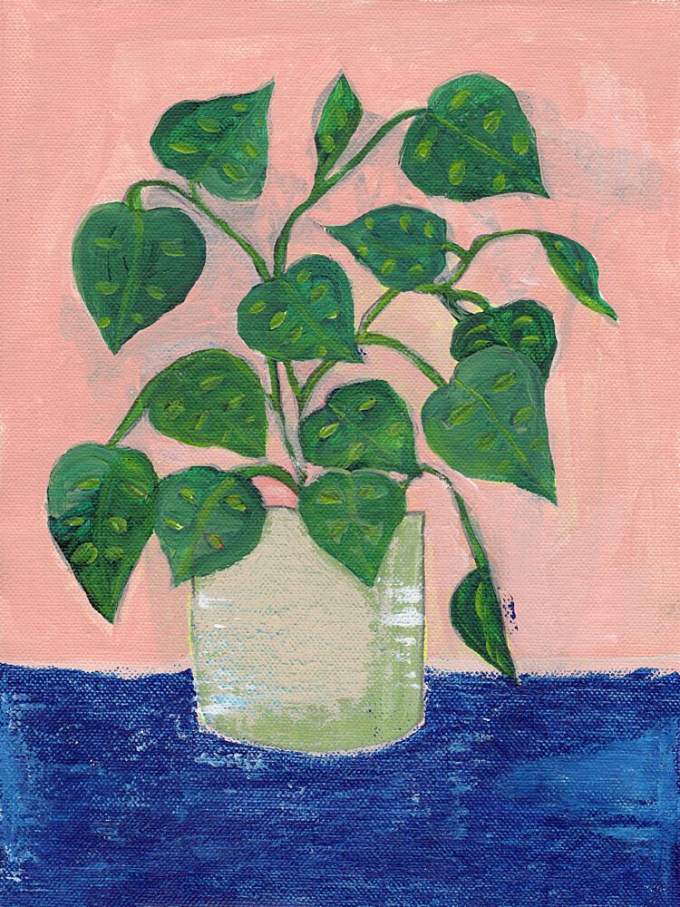 Vibrant Potted Houseplant art print by Nikita Jariwala for $57.95 CAD