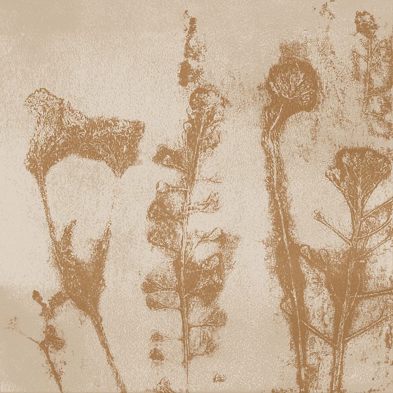 Sepia Botanical Impressions art print by Dina Dankers for $57.95 CAD