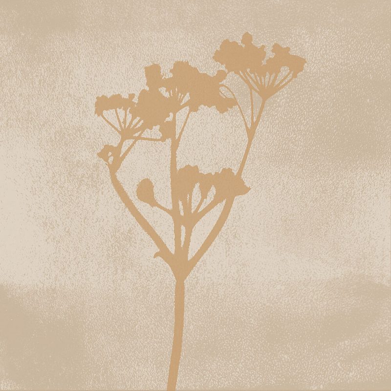 Serene Botanical Silhouette art print by Dina Dankers for $57.95 CAD