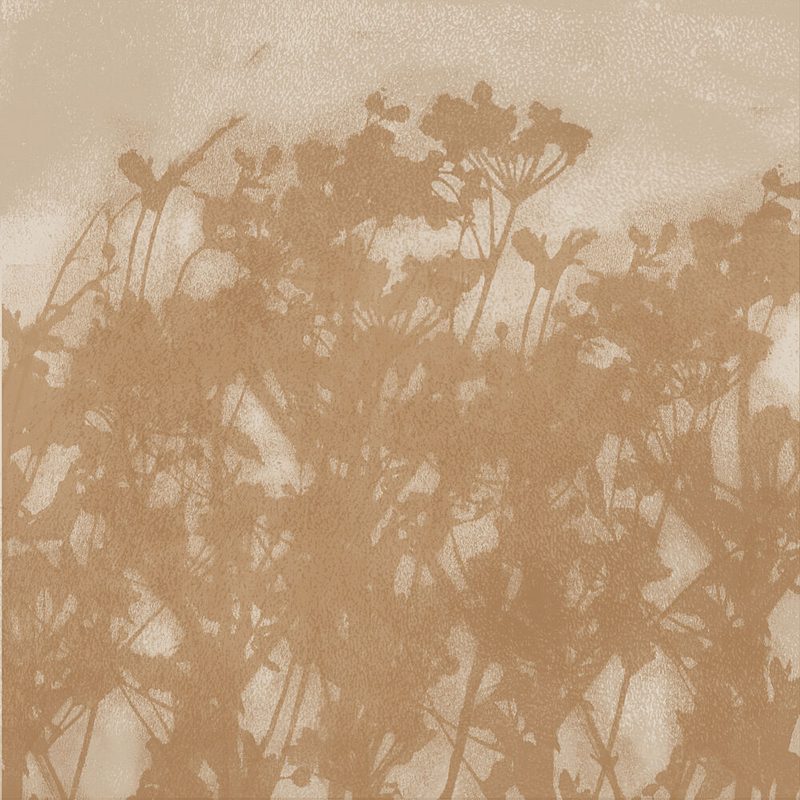 Warm Botanical Shadows art print by Dina Dankers for $57.95 CAD