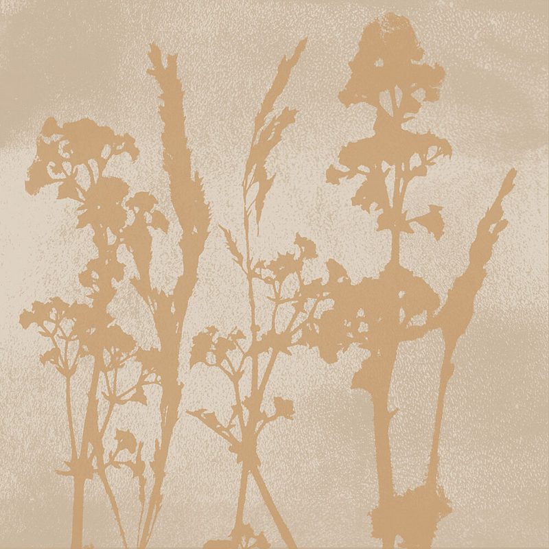 Earthy Botanical Silhouettes art print by Dina Dankers for $57.95 CAD
