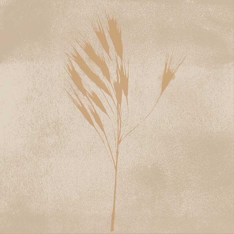 Warm Minimalist Wheat Stems art print by Dina Dankers for $57.95 CAD