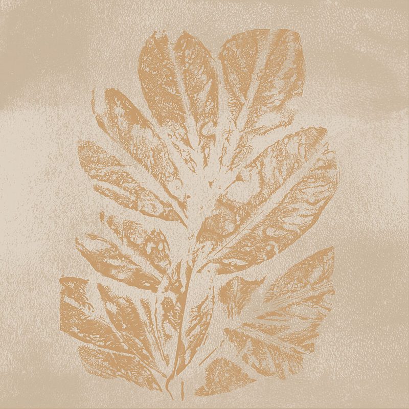Faded Botanical Print art print by Dina Dankers for $57.95 CAD