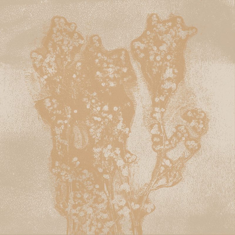 Soft Organic Forms art print by Dina Dankers for $57.95 CAD