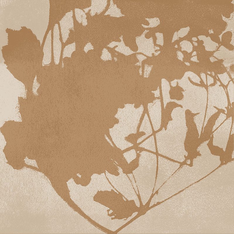 Botanical Shadow Play art print by Dina Dankers for $57.95 CAD