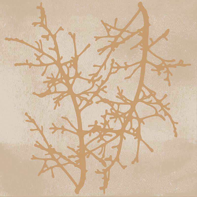 Delicate Winter Branches art print by Dina Dankers for $57.95 CAD