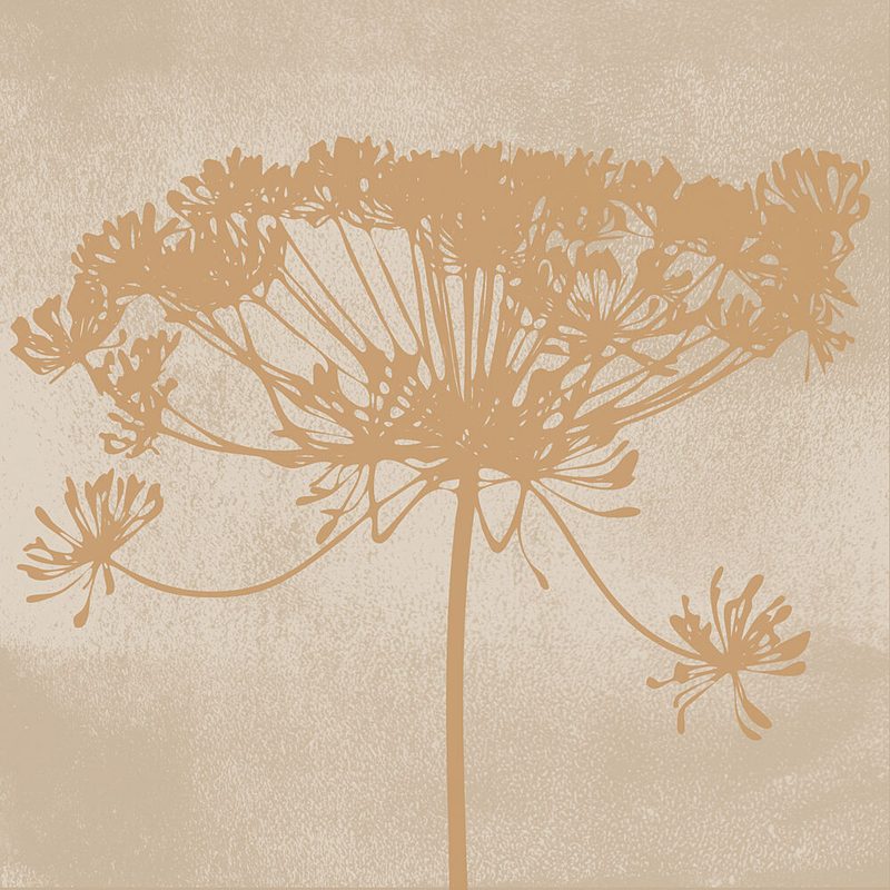 Delicate Botanical Silhouette art print by Dina Dankers for $57.95 CAD