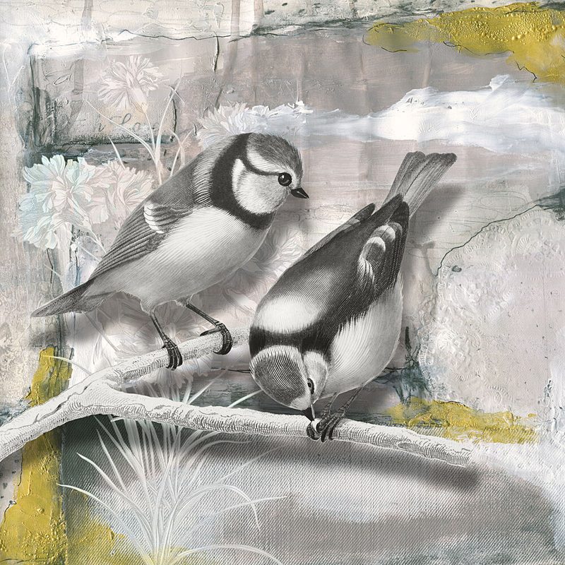 Blue Tits on Branch art print by Marja van den Hurk for $57.95 CAD
