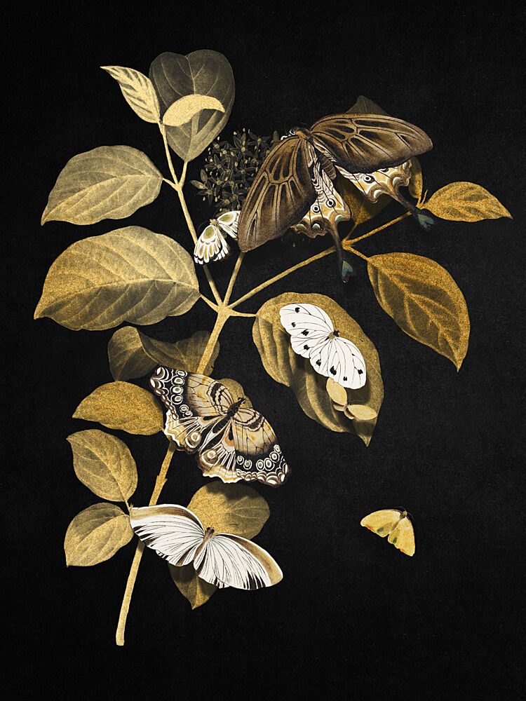 Elegant Gold Butterflies art print by Marja van den Hurk for $57.95 CAD