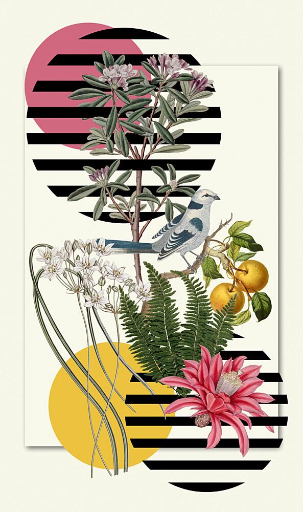 Vibrant Botanical Collage art print by Marja van den Hurk for $57.95 CAD
