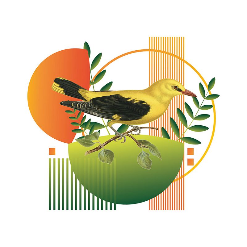 Golden Bird Modern Geometry art print by Marja van den Hurk for $57.95 CAD