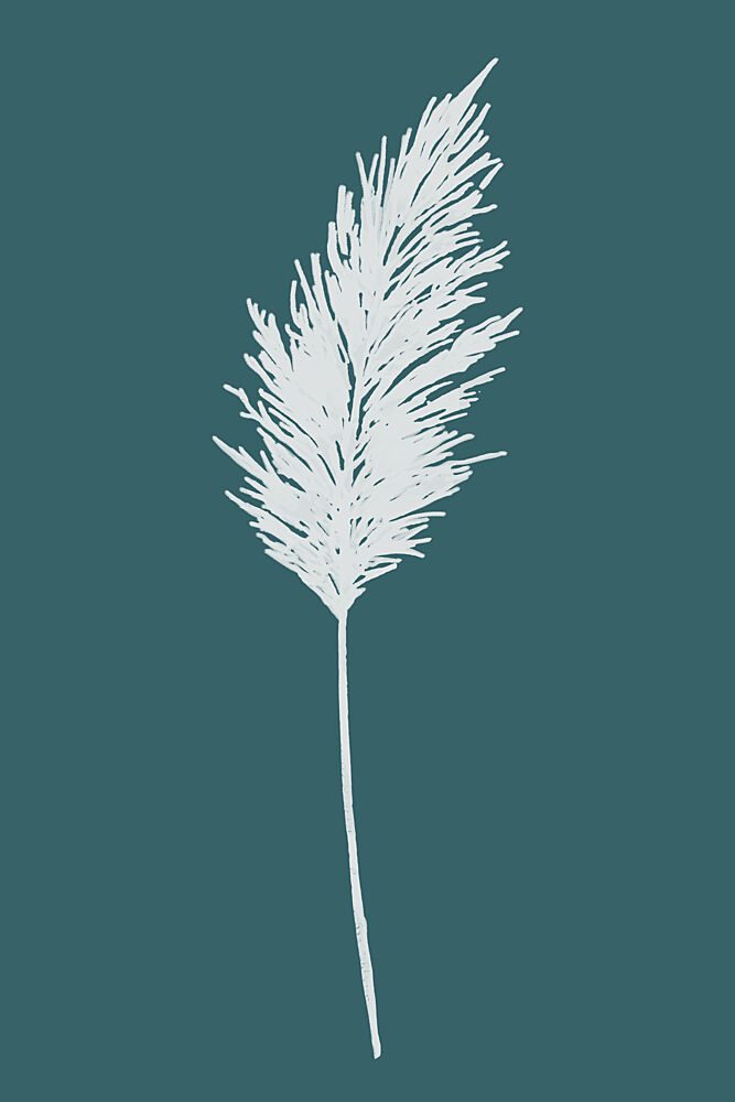 Elegant Pampas Plume art print by Cartissi for $57.95 CAD
