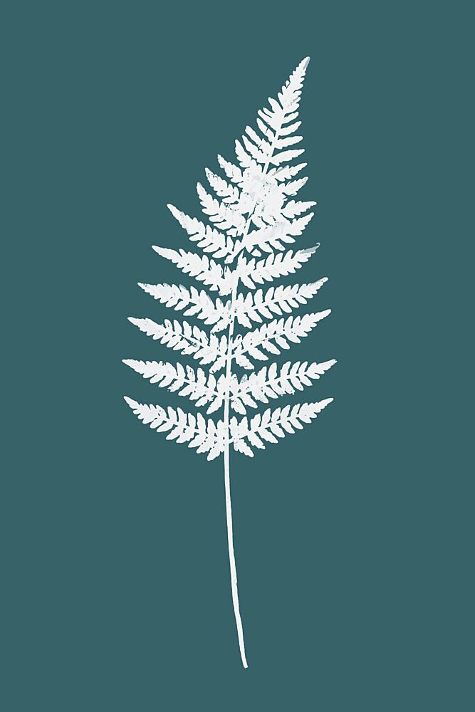 Elegant White Fern art print by Cartissi for $57.95 CAD