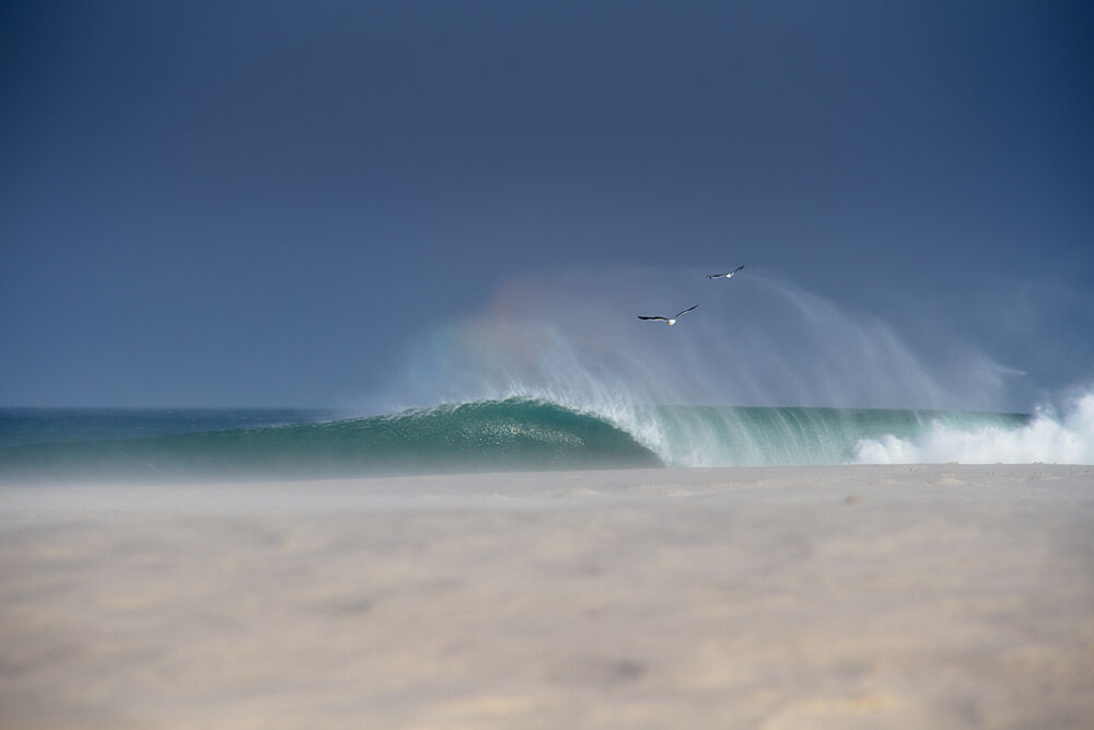 Ocean Wave and Flying Birds art print by Anthony Fox for $57.95 CAD