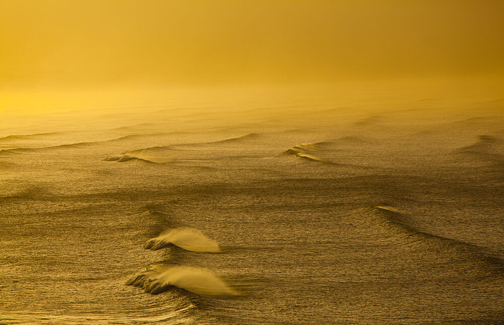 Golden Waves Surface art print by Anthony Fox for $57.95 CAD