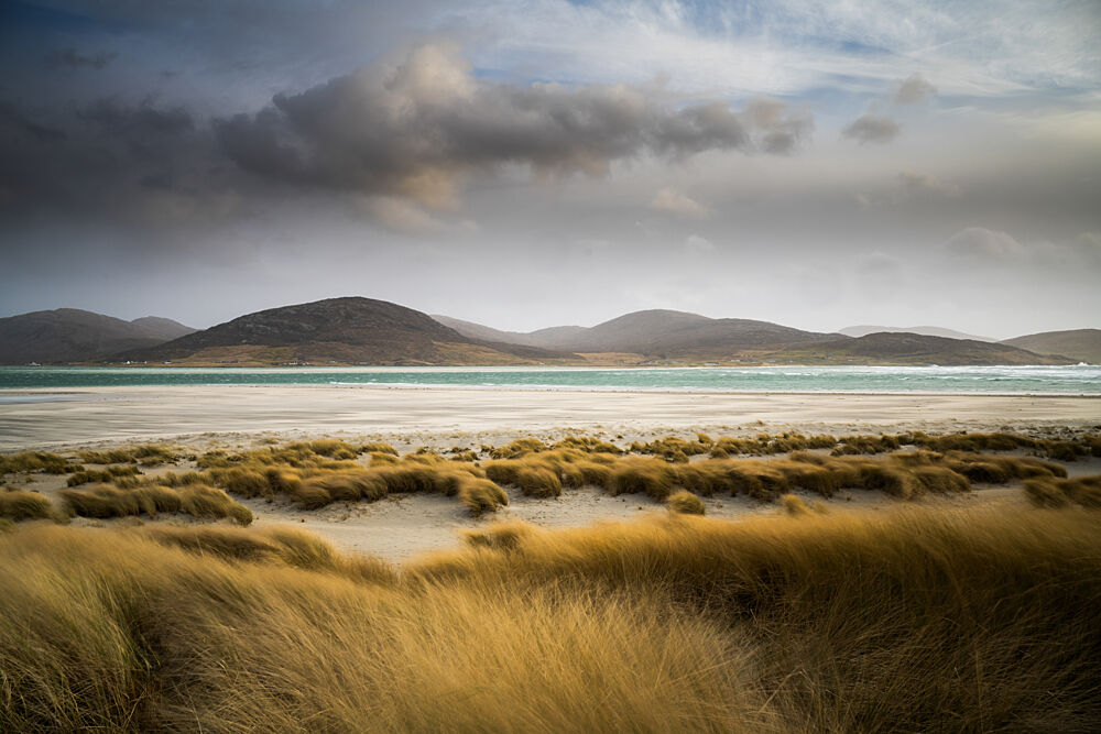 Golden Dunes and Ocean art print by Ulrike Eisenmann for $57.95 CAD