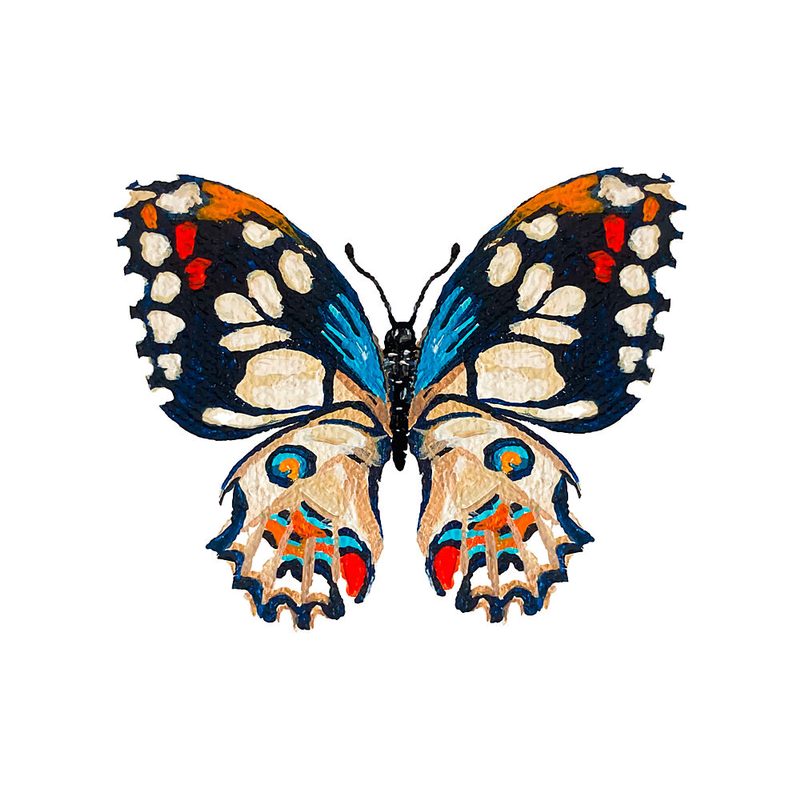 Vivid Butterfly Illustration art print by Madison Phipps for $57.95 CAD