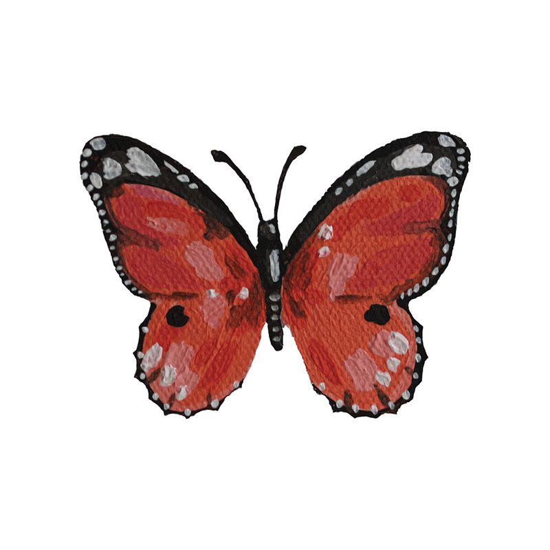 Vibrant Red Butterfly art print by Madison Phipps for $57.95 CAD