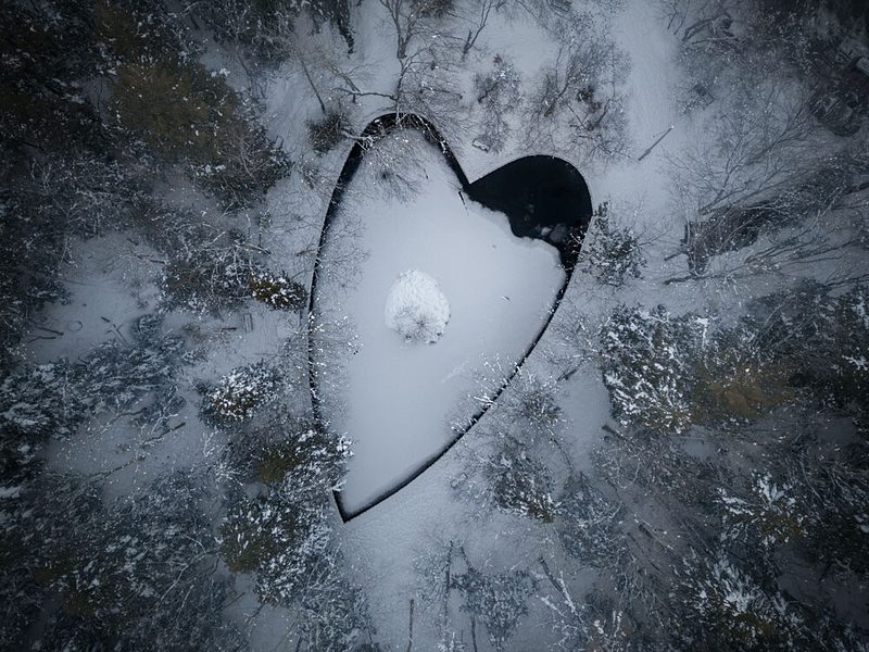 Snowy Heart Forest art print by Ambar Saha for $57.95 CAD