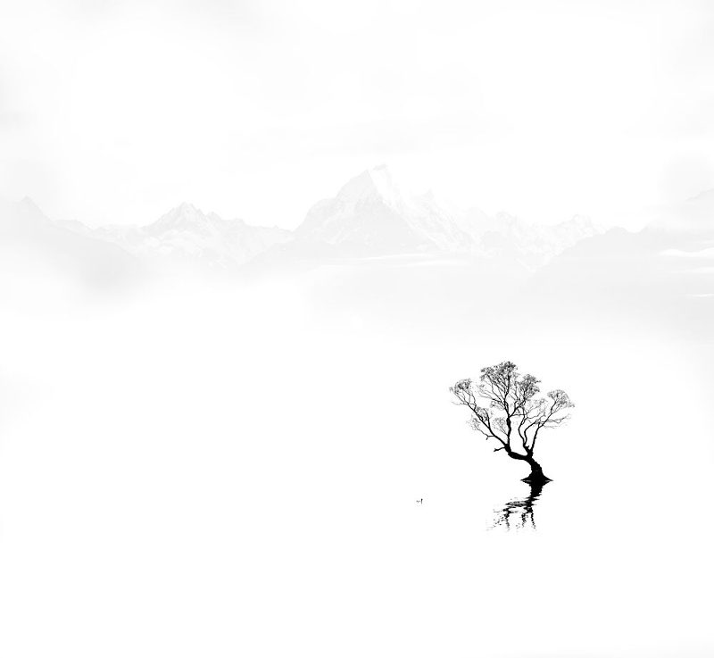Misty Mountain Lone Tree art print by Kai Dan for $57.95 CAD