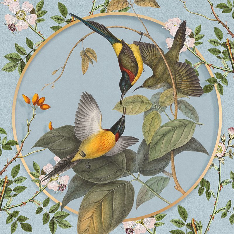 Vintage Botanical Sunbirds art print by Marja van den Hurk for $57.95 CAD