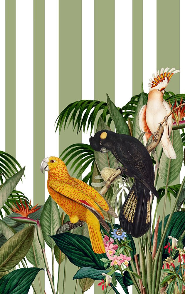 Vibrant Jungle Parrots art print by Marja van den Hurk for $57.95 CAD