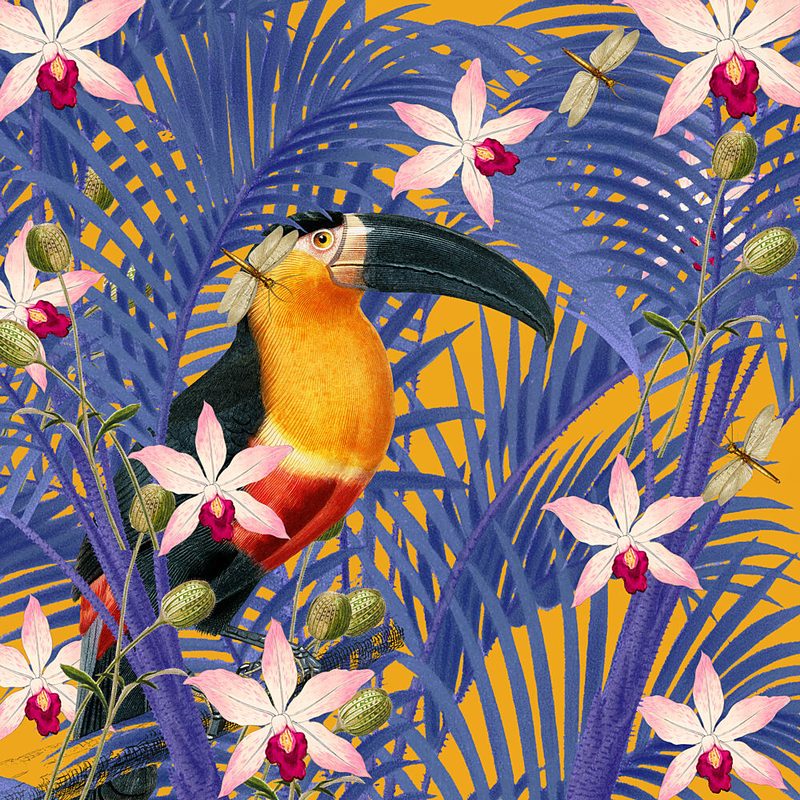 Vibrant Tropical Toucan art print by Marja van den Hurk for $57.95 CAD
