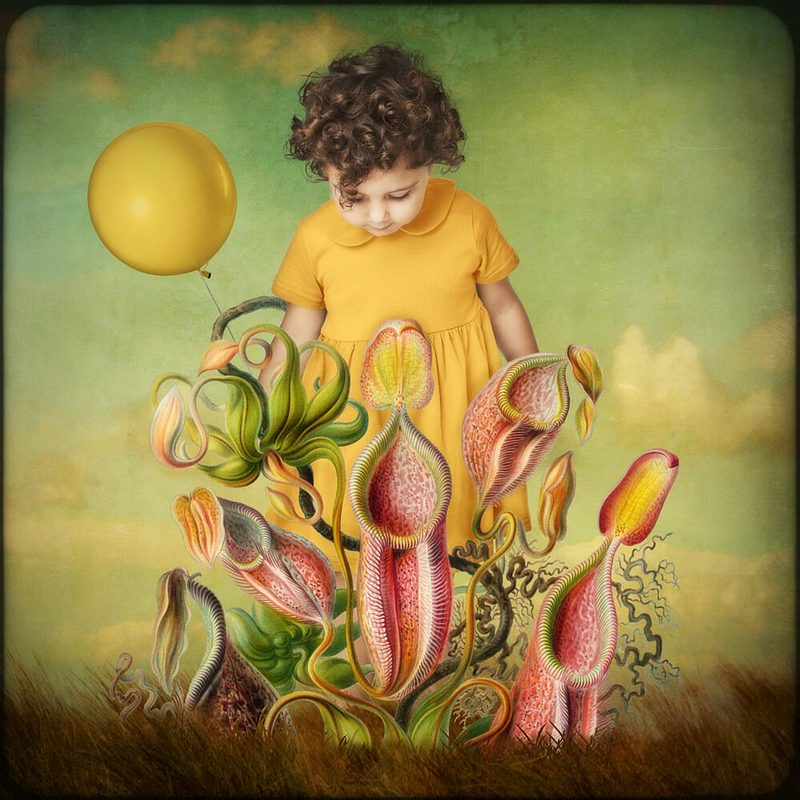 Curious Childs Fantasy Garden art print by Marja van den Hurk for $57.95 CAD