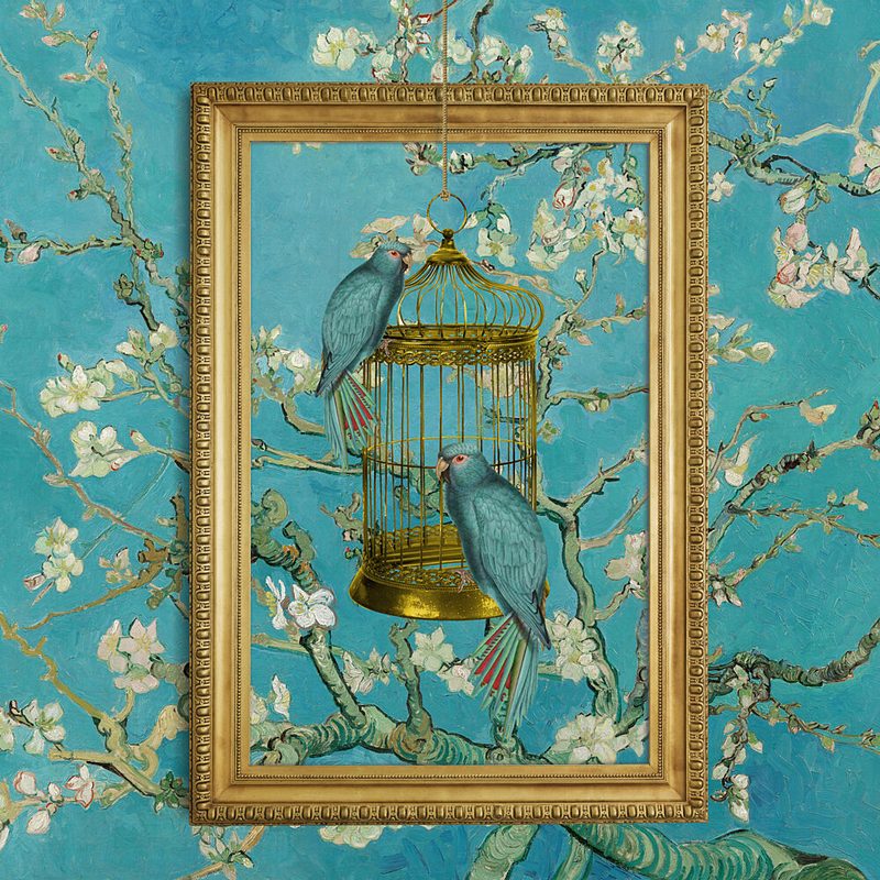 Blue Parrots Almond Bloom art print by Marja van den Hurk for $57.95 CAD