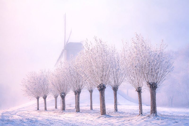 Misty Winter Windmill art print by Yvette Depaepe for $57.95 CAD