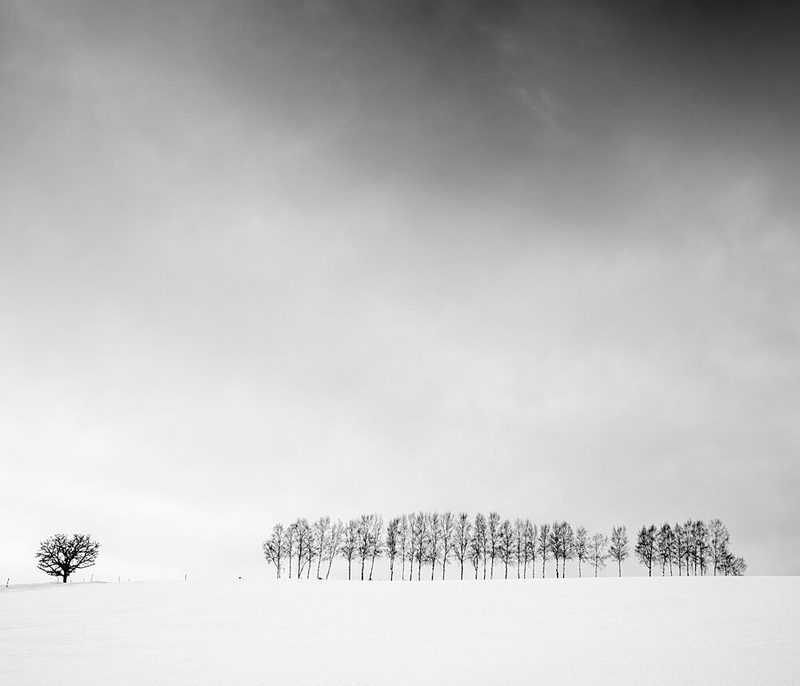 Winter Field Solitude art print by Robert Bolton for $57.95 CAD
