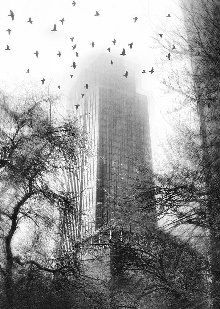 Misty City Birds art print by Pawel Kado for $57.95 CAD