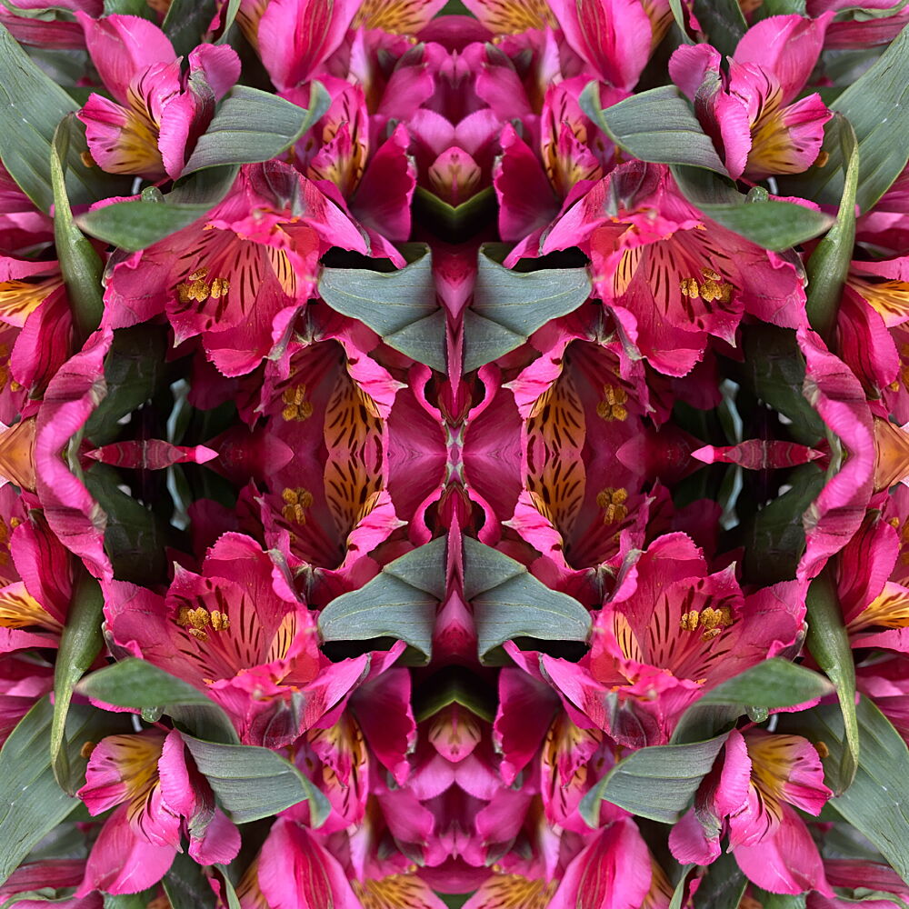 Pink Floral Symmetry art print by Patricia Pedraza Sanson for $57.95 CAD