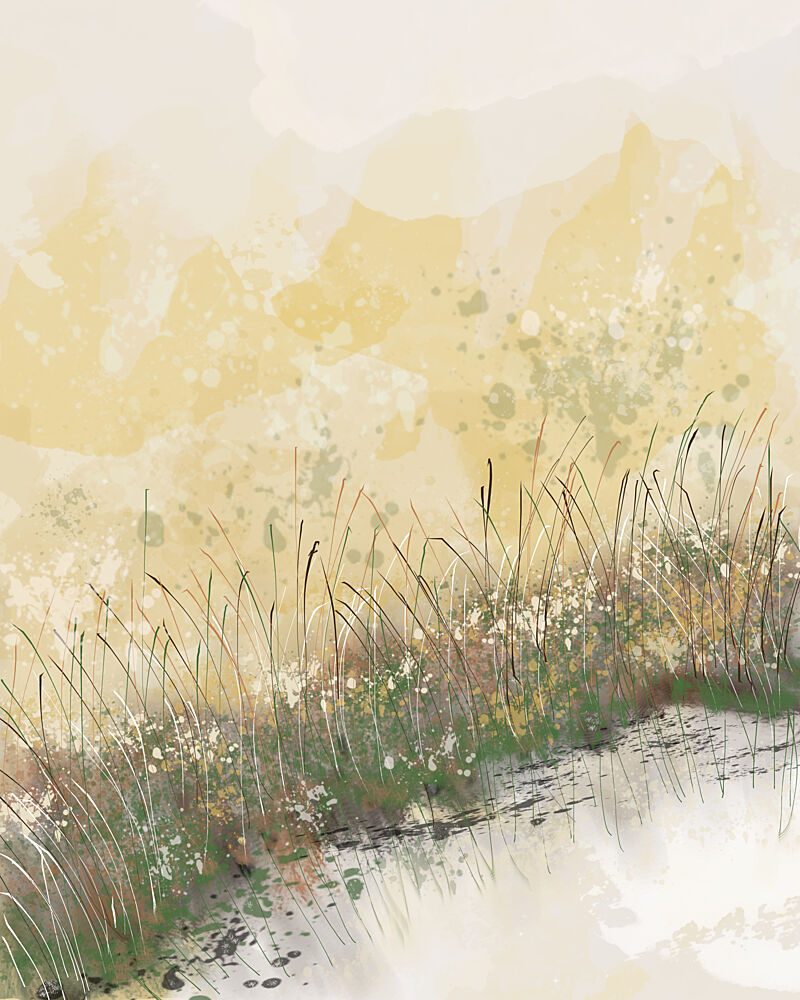 Marsh Grass Reflection art print by Sannel Larson for $57.95 CAD