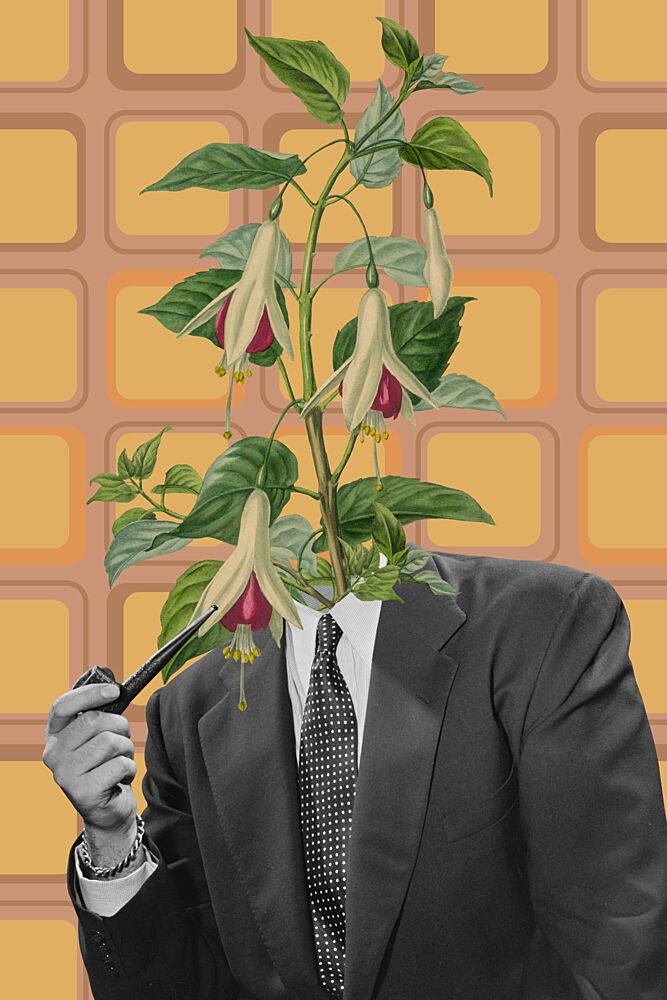 Botanical Gentleman art print by Marja van den Hurk for $57.95 CAD