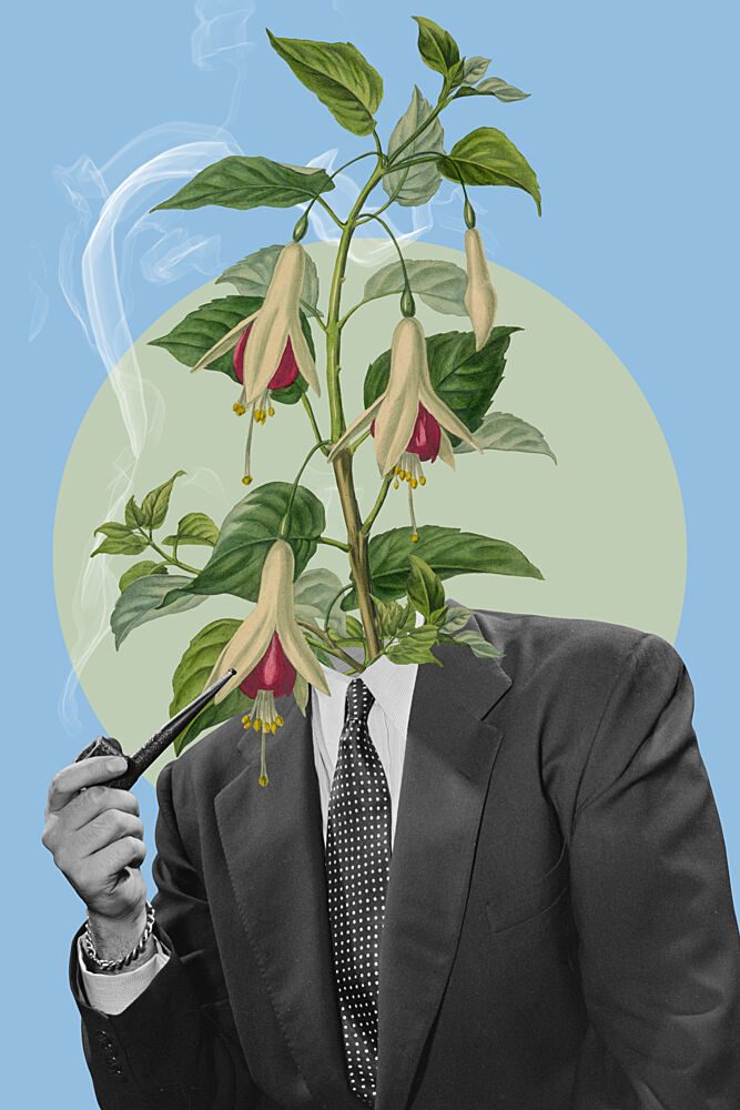Gentleman with Flower Head art print by Marja van den Hurk for $57.95 CAD