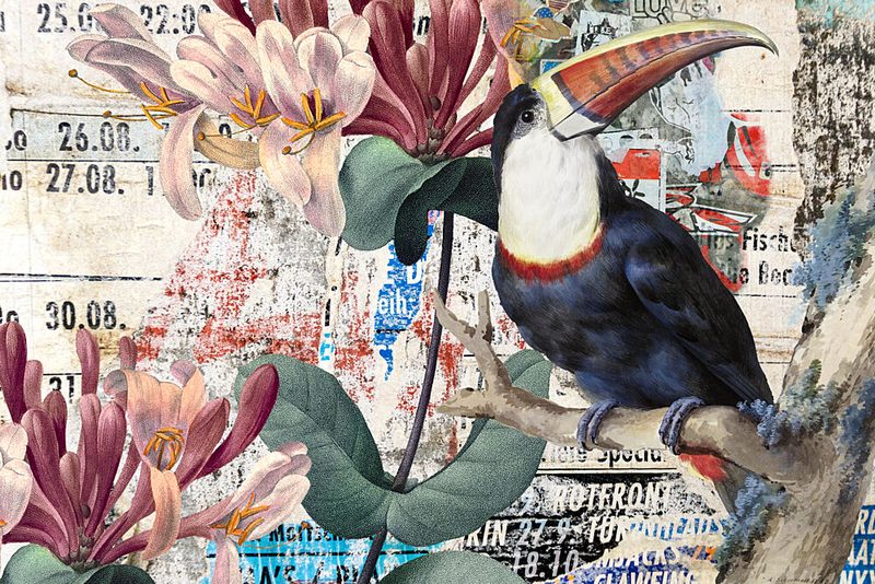 Tropical Toucan Collage art print by Marja van den Hurk for $57.95 CAD